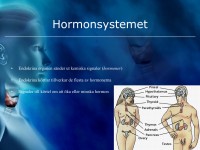 /album/hormonsystemet/a6-hormonsystemet-004-jpeg/